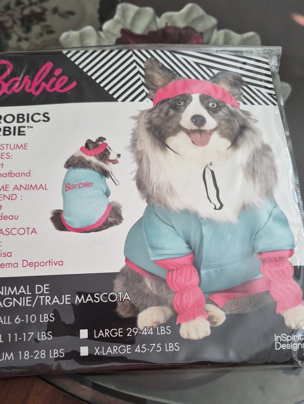 Barbie Turquoise & Pink Dog Aerobics Costume